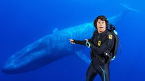 Andy's Aquatic Adventures - Episode 1 - Andy and the Blue Whale
