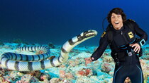 Andy's Aquatic Adventures - Episode 2 - Andy and the Sea Kraits