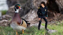 Andy's Aquatic Adventures - Episode 4 - Andy and the Wood Ducks