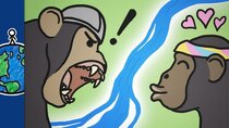 MinuteEarth - Episode 3 - How This River Made Chimps Violent