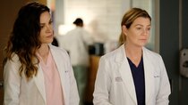 Grey's Anatomy - Episode 15 - Snowblind