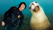 Andy's Aquatic Adventures - Episode 5 - Andy and the Galapagos Sea Lions