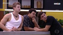 Big Brother Brazil - Episode 25 - Day 25