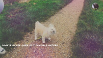 Cookie Sykes Goes - Episode 5 - Cookie Sykes Goes to Titchfield Nature
