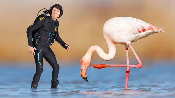Andy s Aquatic Adventures Season 1 Episode 7