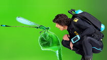 Andy's Aquatic Adventures - Episode 8 - Andy and the Damselflies