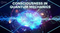 PBS Space Time - Episode 7 - Does Consciousness Influence Quantum Mechanics?