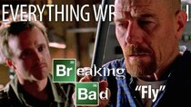 TV Sins - Episode 14 - Everything Wrong With Breaking Bad Fly