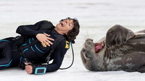 Andy's Aquatic Adventures - Episode 10 - Andy and the Weddell Seals