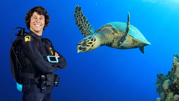 Andy s Aquatic Adventures Season 1 Episode 15