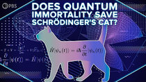 PBS Space Time - Episode 9 - Does Quantum Immortality Save Schrödinger's Cat?