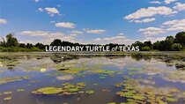 Coyote Peterson: Brave the Wild - Episode 1 - Legendary Turtle of Texas