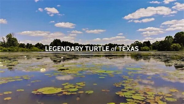 Coyote Peterson: Brave the Wild - S01E01 - Legendary Turtle of Texas