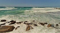 Coyote Peterson: Brave the Wild - Episode 7 - Deadly Tide Pools