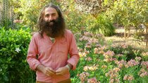 Gardening Australia - Episode 4