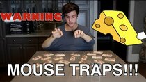 Dolan Twins - Episode 35 - Not My Arms Challenge: MOUSE TRAP EDITION! // Dolan Twins