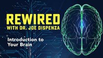 Rewired - Episode 1 - Introduction to Your Brain