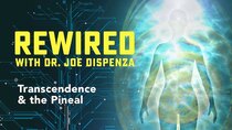 Rewired - Episode 11 - Transcendence & the Pineal