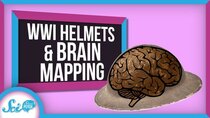 SciShow Psych - Episode 20 - How Bad Helmets Gave Us a Map of Vision