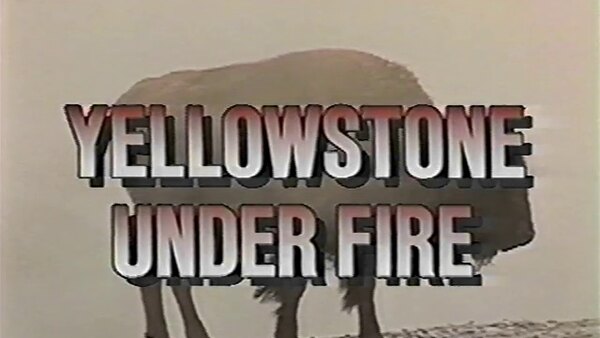 Frontline - S1989E12 - Yellowstone Under Fire