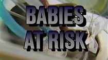 Frontline - Episode 15 - Babies at Risk