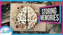 SciShow Psych - Episode 21 - Engrams: Where Your Brain Keeps Memories