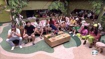 Big Brother Brazil - Episode 55 - Day 55