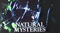 Nature - Episode 8 - The Discovery of Animal Behavior: Natural Mysteries