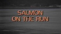 NOVA - Episode 1 - Salmon on the Run