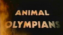 NOVA - Episode 10 - Animal Olympians II