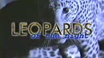 NOVA - Episode 19 - Leopards of the Night
