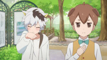 Uchi Tama?! Uchi no Tama Shirimasenka? - Episode 9 - He's in Town / Nora and the Kitten