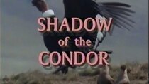 NOVA - Episode 14 - Shadow of the Condor