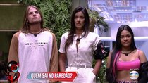 Big Brother Brazil - Episode 63 - Day 63