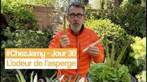 Chez Jamy - Episode 30