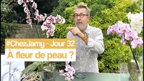 Chez Jamy - Episode 32