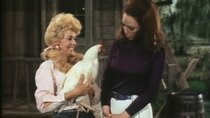 The Beverly Hillbillies - Episode 22 - Annul That Marriage