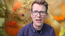 vlogbrothers - Episode 31 - The Rarest Fish in the World is an Anglerfish!