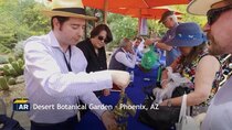 Antiques Roadshow (US) - Episode 13 - Desert Botanical Garden, Hour 3