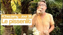 Chez Jamy - Episode 38 - Avez-vous eu vent du voyage de la graine de pissenlit ?