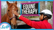 SciShow Psych - Episode 30 - Equine Therapy: Why Horses Might Make Great Therapy Animals