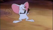 Timon & Pumbaa - Episode 4 - Rafiki Fables: Good Mousekeeping