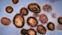 Coronavirus, Explained - Episode 1 - This Pandemic