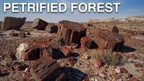 Rock the Park - Episode 21 - Petrified Forest National Park