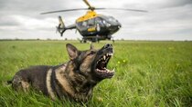 Police Interceptors - Episode 11 - Dog Squad Special