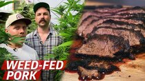 Prime Time - Episode 4 - What Does Pork From Cannabis-Fed Pigs Taste Like?