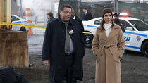 Blue Bloods - Episode 19 - Family Secrets