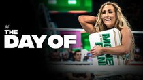 WWE The Day Of - Episode 3 - Women's Money in the Bank Ladder Match