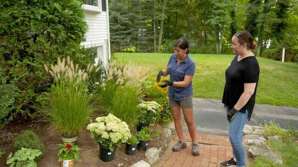 Ask This Old House - S17E23 - Scorched Floor; Hardy Plantings