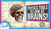 SciShow Psych - Episode 32 - 3 Ways Physics Can Help Us Understand the Brain
